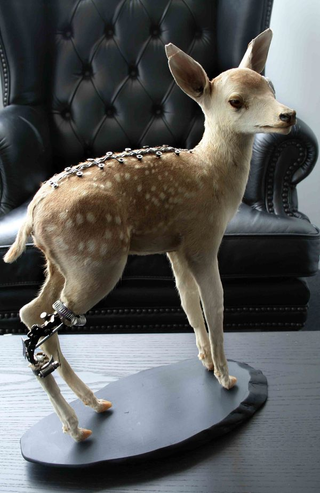 Illustration for article titled Steampunk Taxidermy Takes Steampunk to Awkward Places